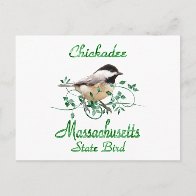 Chickadee Massachusetts State Bird Postcard (Front)
