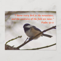 Chickadee on a Twig