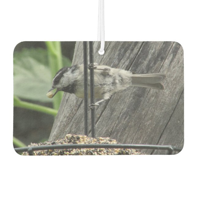 Chickadee on Bird Feeder Car Air Freshener (Front)