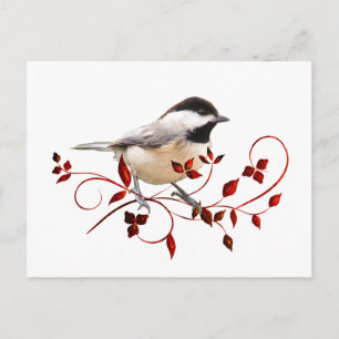 Chickadee Postcard