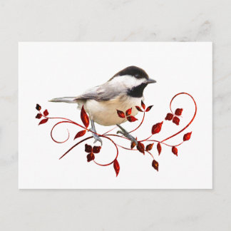Chickadee Postcard