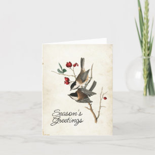 Chickadee Season's Greetings Bird Holiday  Card