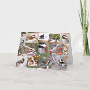 Chickadees in Winter Collage Holiday Card