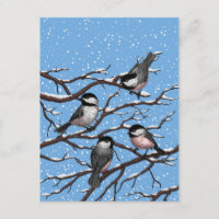 Chickadees in winter