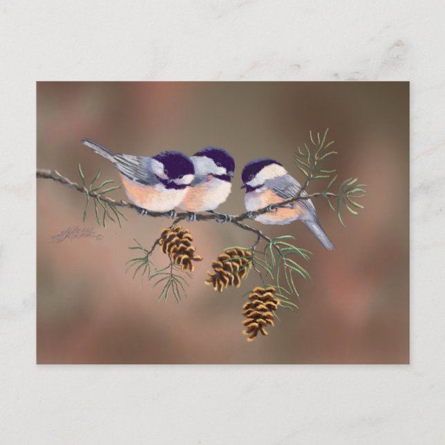 CHICKADEES & PINECONES by SHARON SHARPE Postcard (Front)