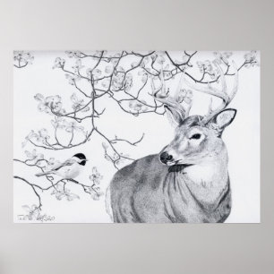 Chickadee's Song Poster