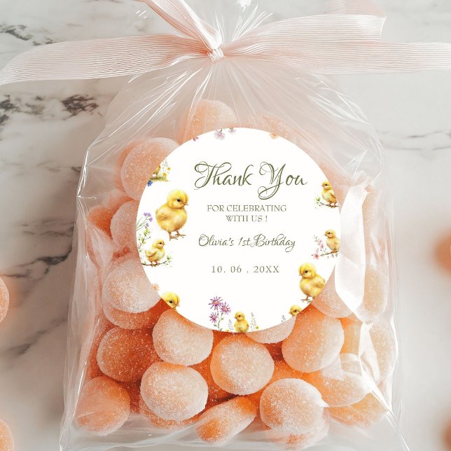 Chicken 1st birthday Farm animal Birthday Thanks Classic Round Sticker (Creator Uploaded)