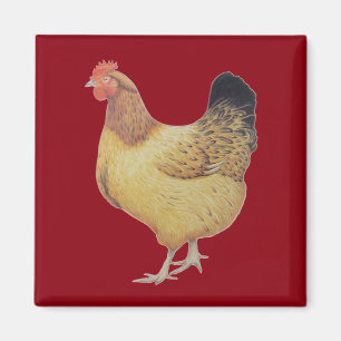 Chicken 2012 magnet