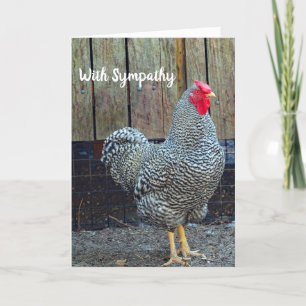 Chicken 325 Sympathy Card