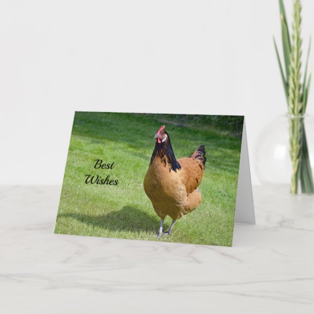 Chicken 3 Congratulations Wedding Card (Front)