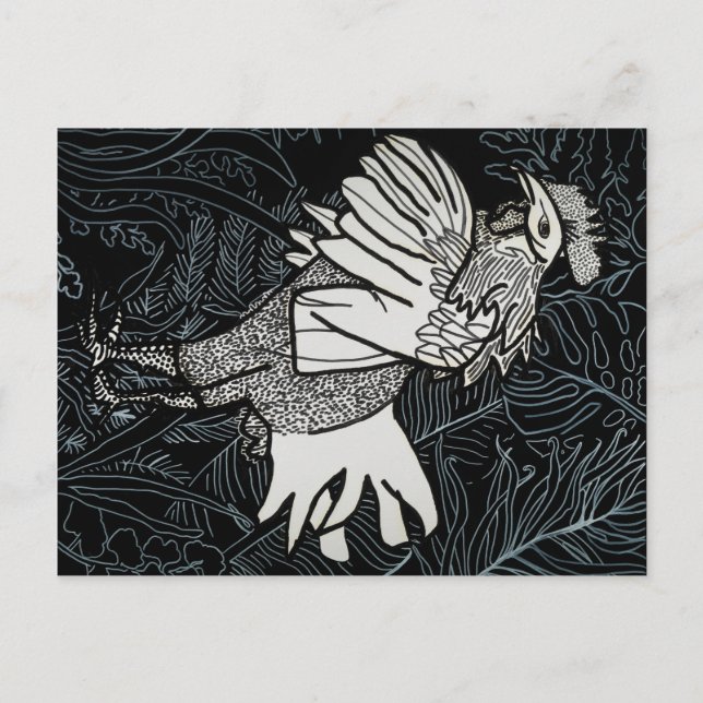 Chicken 3 postcard (Front)