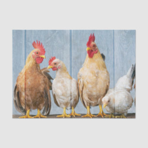 Chicken and Hens Tissue Paper