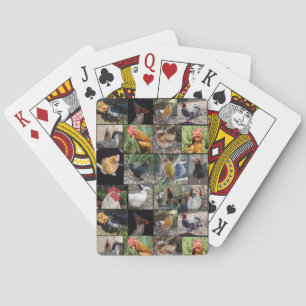 Chicken,And Rooster Photo Collage, Playing Cards