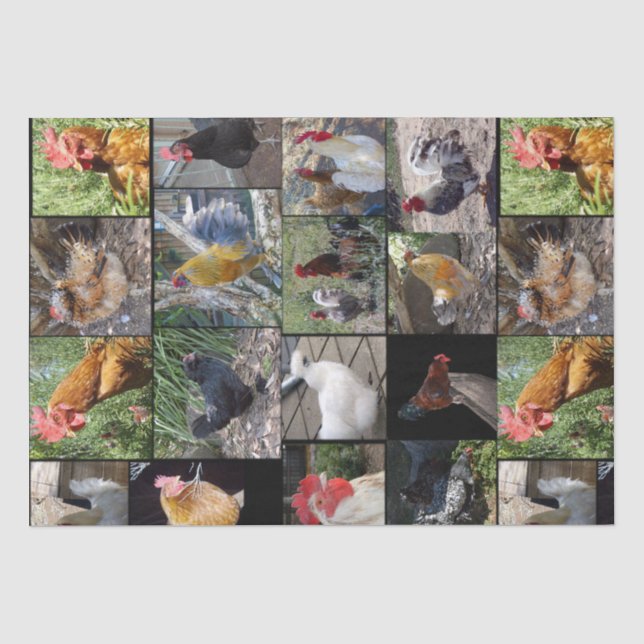Chicken,And Rooster Photo Collage, Tissue Paper (Front)