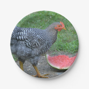 Chicken and Watermelon Paper Plate
