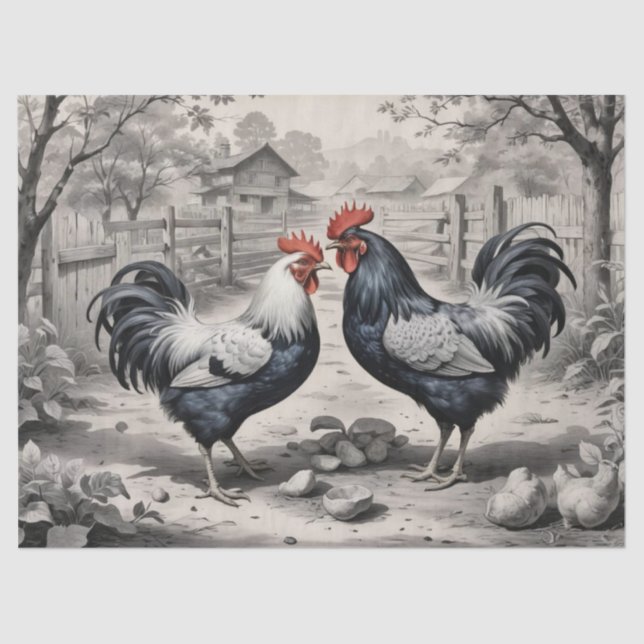 Chicken Barnyard Design  Tissue Paper (Front)