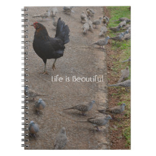 Chicken Birds Kauai (my photography) Notebook