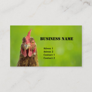 Chicken - Business Card