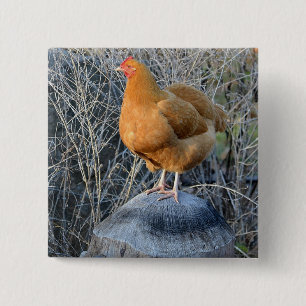 Chicken Button
