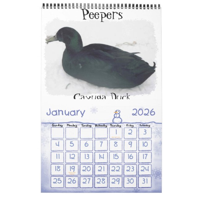 Chicken Calendar (Jan 2026)