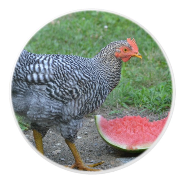 Chicken Ceramic Knob (Front)