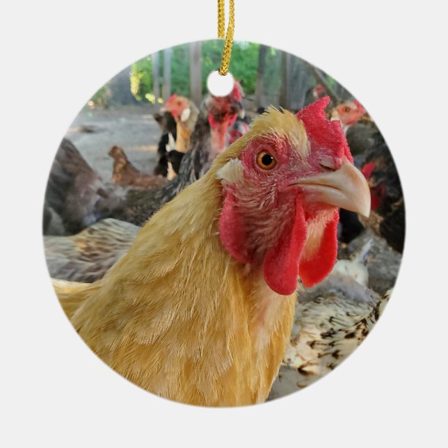Chicken Ceramic Tree Decoration (Front)