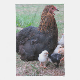 chicken, chicks, chickens, chick, animal, bird, tea towel