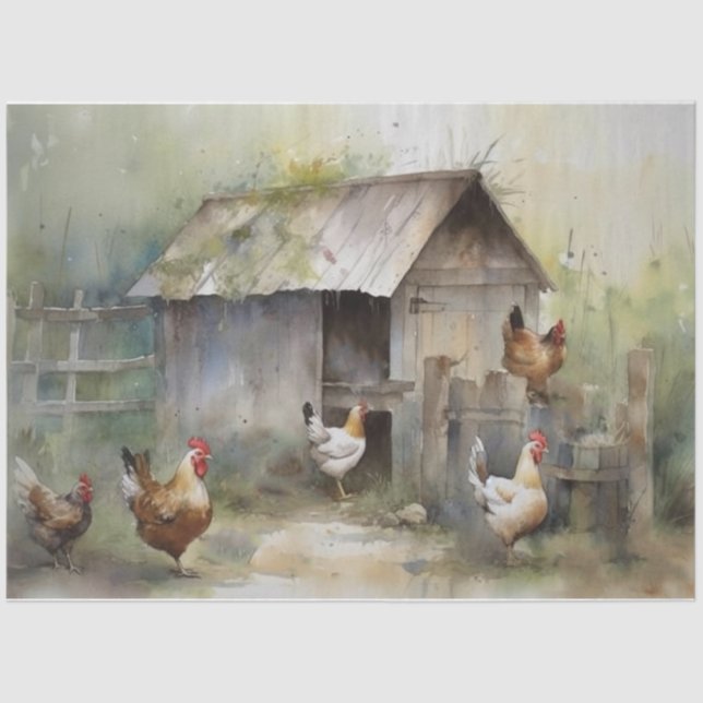 Chicken coop Tissue Paper (Front)