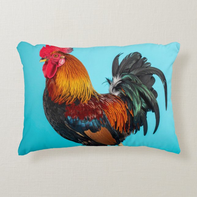 chicken decorative cushion (Front)