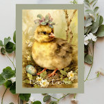 Chicken Easter Eggs Forest Holiday Postcard<br><div class="desc">Cute chicken and Easter eggs.  A delightful way to send Happy Easter wishes to loved ones.</div>