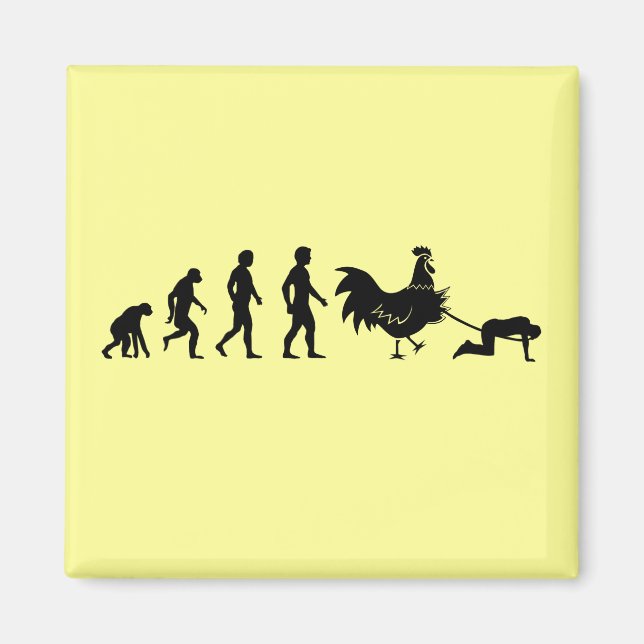 Chicken evolution magnet (Front)