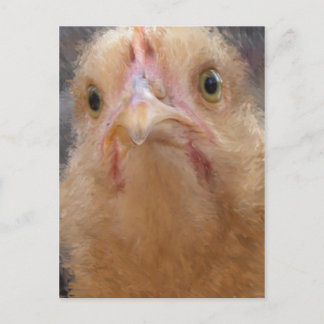Chicken Face Postcard