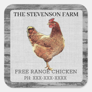 Chicken Farm Broiler Meat Birds Free Range Square Sticker