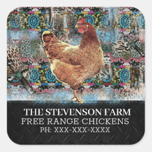 Chicken Farm Broiler Meat Birds Free Range Western Square Sticker