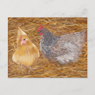 Chicken Friends JW Postcard