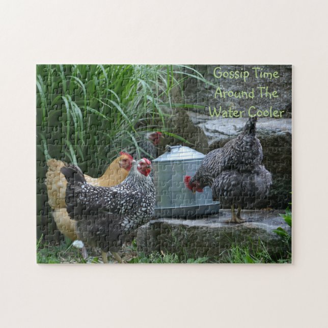 Chicken Gossip Puzzle (Horizontal)