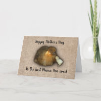 Chicken Happy Mothers Day Mama Hen Chick Burlap