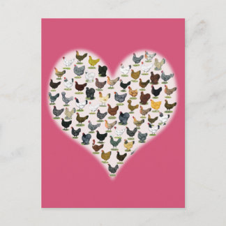 Chicken Heart Postcard