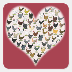 Chicken Heart Square Sticker