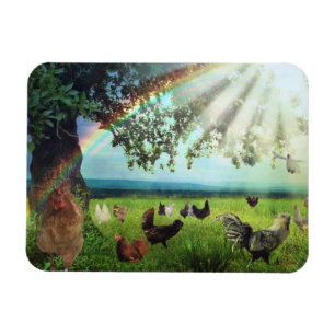 Chicken Heaven Magnet