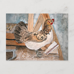 chicken hen art pet portrait post card cards art