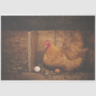 Chicken Hen Egg Farm Decoupage Tissue Paper