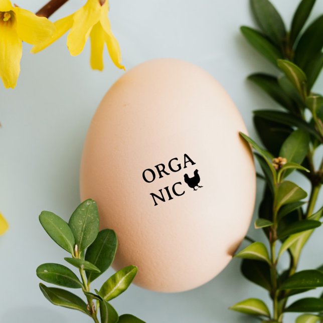 Chicken, Hen Eggs | Organic Eggs | Egg Mini Stamp (Creator Uploaded)