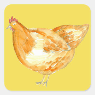Chicken Hen Yellow Square Sticker