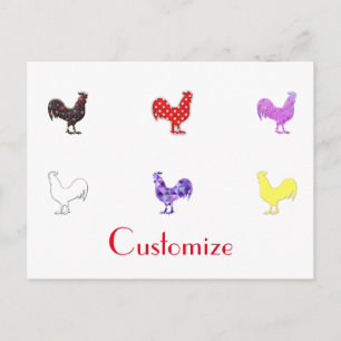 Chicken Hens Thunder_Cove  Postcard