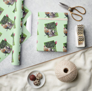 Chicken Hide And Seek,  Wrapping Paper