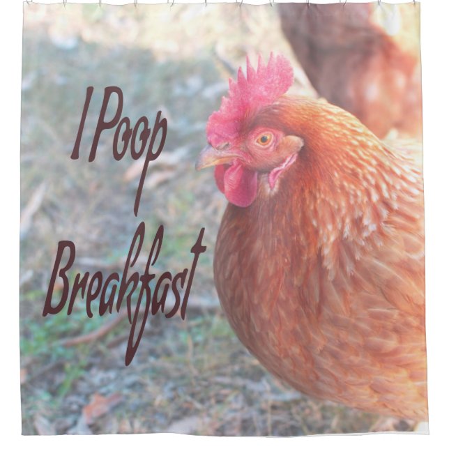 Chicken I poop Breakfast Funny Humor Shower Curtain (Front)