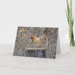 Chicken In A Pot Thank You Card