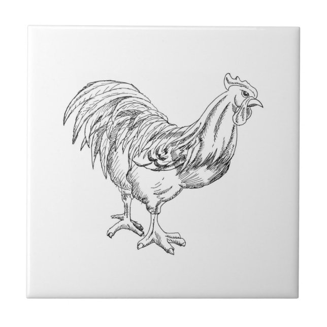 Chicken in Pen & Ink Tile (Front)