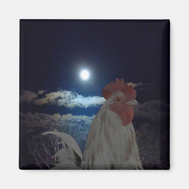 Chicken In The Moonlight, Magnet (Front)